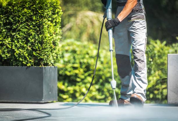 Best Pre-Holiday Cleaning  in Clear Lake, IA