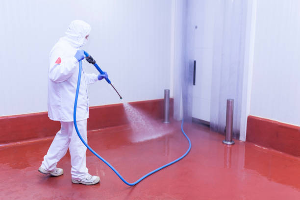  Clear Lake, IA Pressure Washing Pros