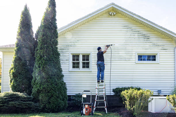 Best Building Exterior Washing  in Clear Lake, IA