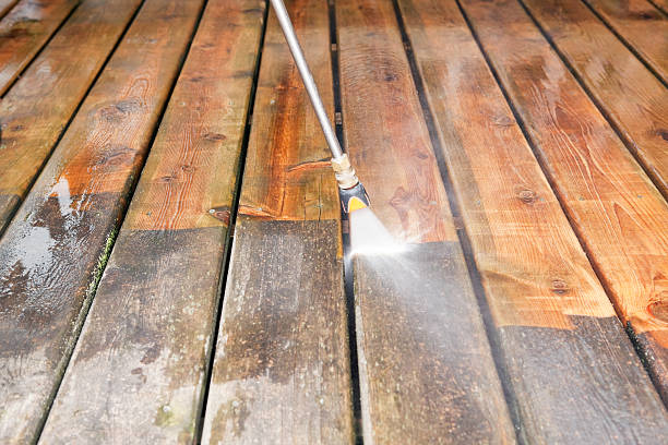 Best Dumpster Area Cleaning  in Clear Lake, IA